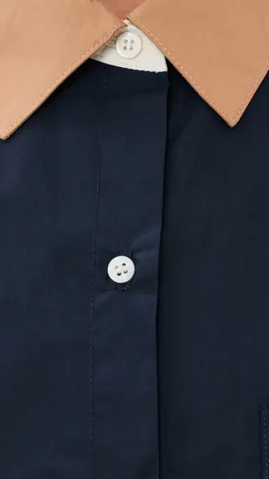 LESET Yoshi Contrast Classic Button Down Shirt | Thumbnail 6 LESET Yoshi Contrast Classic Button Down Shirt | Thumbnail 6