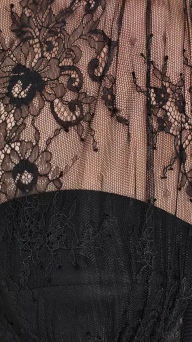 Simkhai Kehlani Lingerie Lace Short Sleeve Bustier Top | Thumbnail 6 Simkhai Kehlani Lingerie Lace Short Sleeve Bustier Top | Thumbnail 6